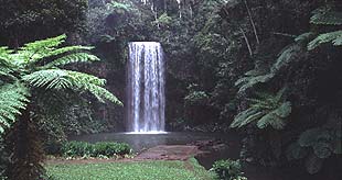 Milla Milla Falls, Atherton Tablelands / Beate
