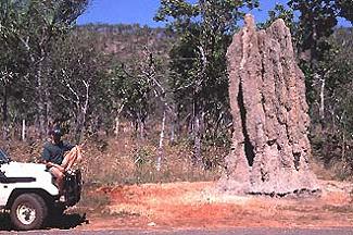 Riesiger Termitenh�gel im Kakadu Nat. Park / Beate