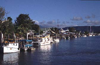 Der Hafen von Port Douglas