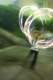 Photo Number 11