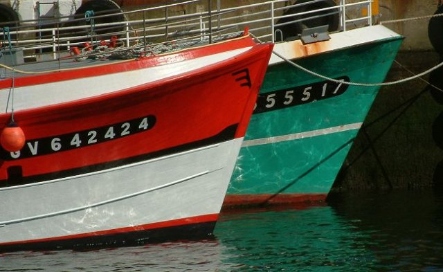 Photograph