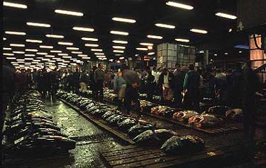 Tokio's Fischmarkthalle