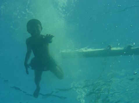 Photograph